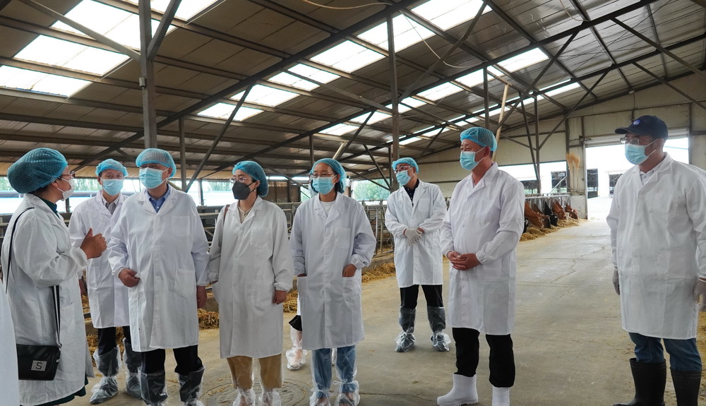 教育部部省合建专项调研组来我校考察调研